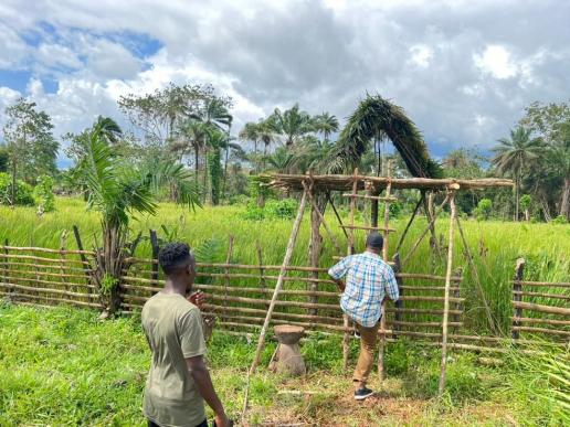 PEDA pilots upland rice farming in Pujehun District